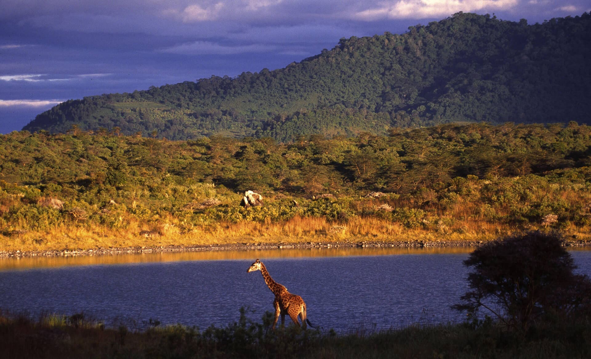 Arusha - The Africa Adventure Company