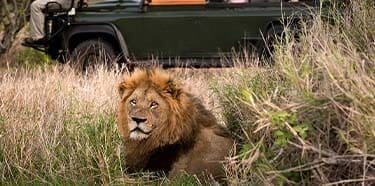 16 Day | Iconic Visions Safari to Southern Africa - The Africa ...