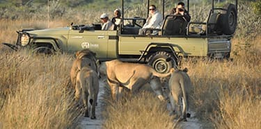 10-Day | Botswana Kwando Wing Safari - The Africa Adventure Company